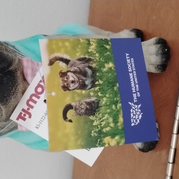 Easter Pug - Picture 5 of 5